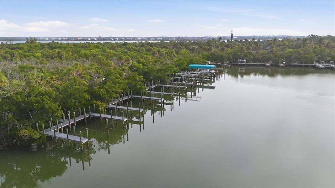 Natural landscape and outdoor views near  in Placida (Image 38).