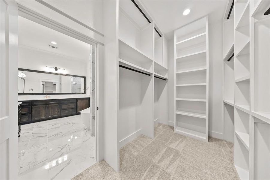 Spacious closet featuring a sink and light carpet Spacious closet featuring a sink and light carpet