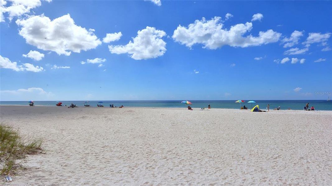 Natural landscape and outdoor views near  in Nokomis (Image 81).