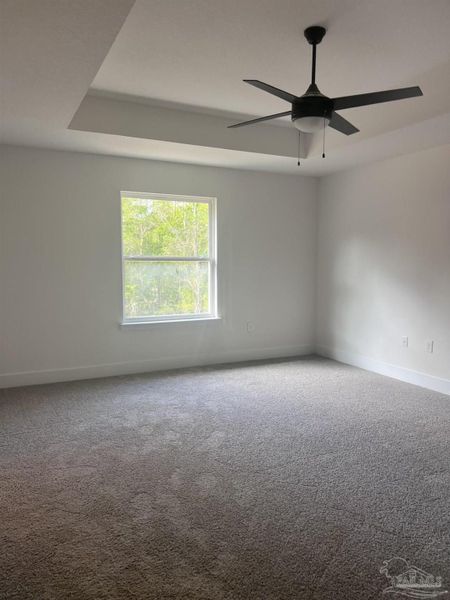 Spacious, unfurnished interior of a new home in Blossom Grove, Milton (Image 9).