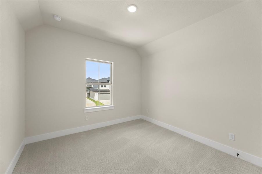 21. 1144 Amaryllis - Bed 3