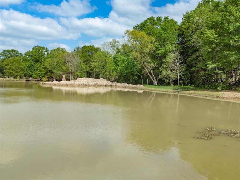 Natural landscape and outdoor views near  in Edgewood (Image 31).