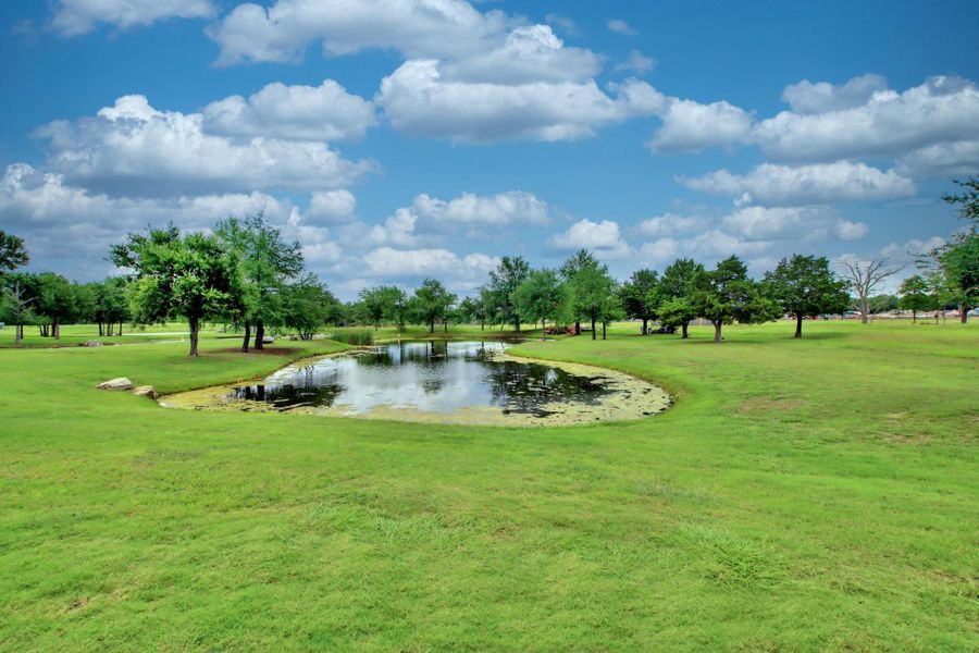 Expansive green lawn surrounds a tranquil pond with mature trees bordering the landscape