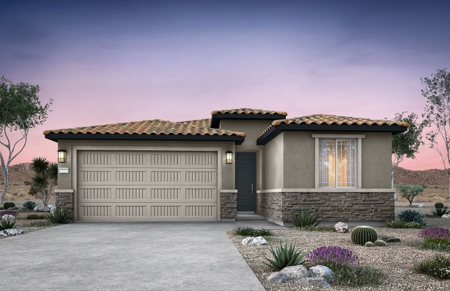 Verbena Elevation C Verbena Elevation C