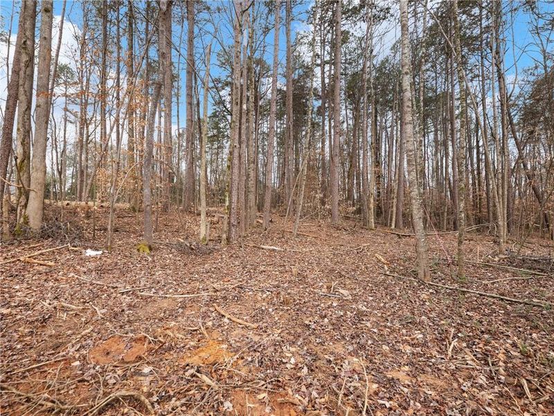 Natural landscape and outdoor views near in Gainesville (Image 36). Natural landscape and outdoor views near in Gainesville (Image 36).