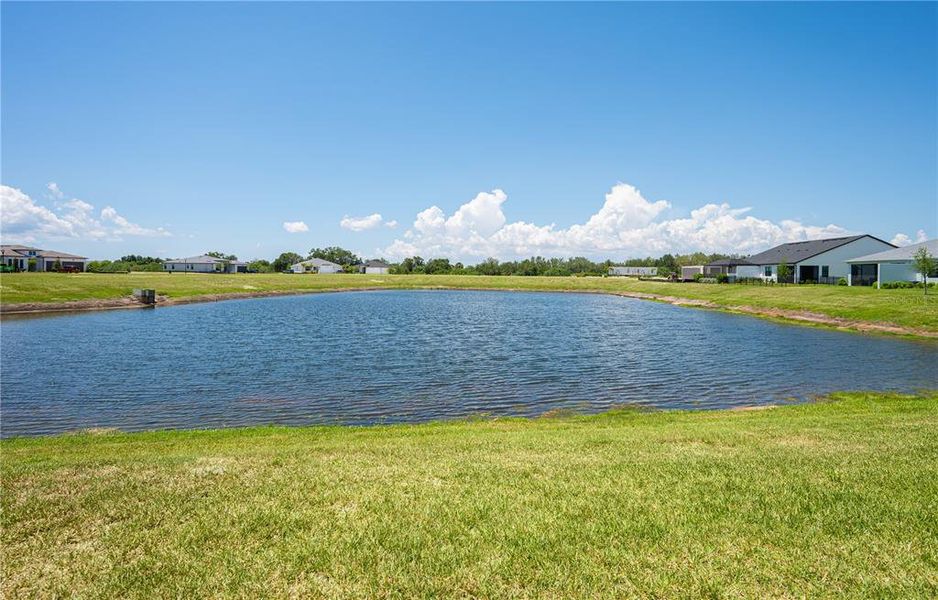 Natural landscape and outdoor views near in Apollo Beach (Image 38). Natural landscape and outdoor views near in Apollo Beach (Image 38).