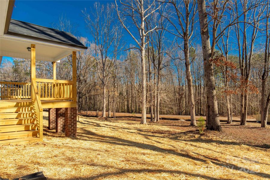 Exterior details and patio area of a home in , Rock Hill (Image 17).