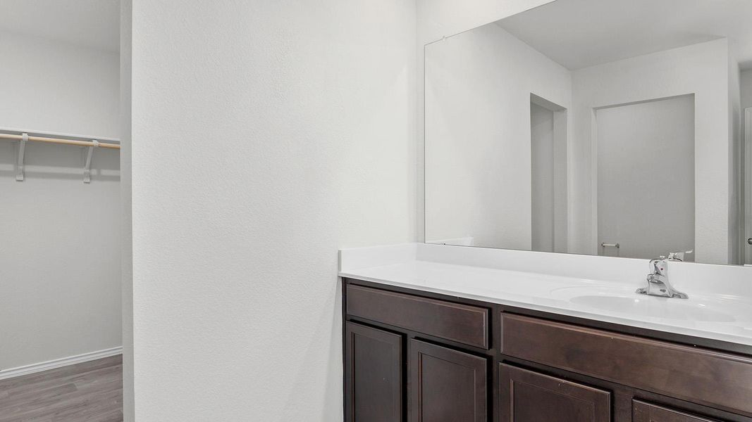 Bathroom featuring vanity, a walk in closet, and light wood finished floors