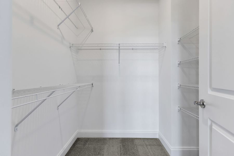 254 Savoy Loop, Homesite 441