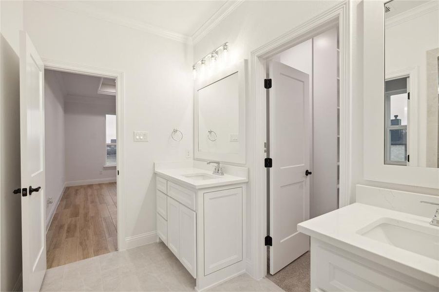 Bathroom with vanity, hardwood / wood-style floors, and ornamental molding