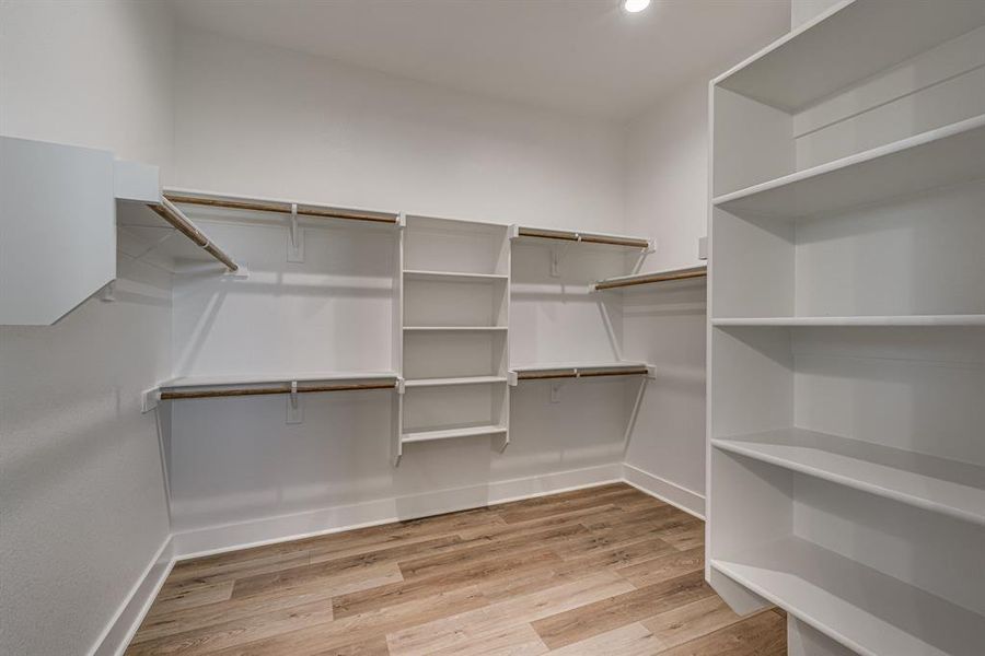 Spacious closet featuring light hardwood / wood-style flooring