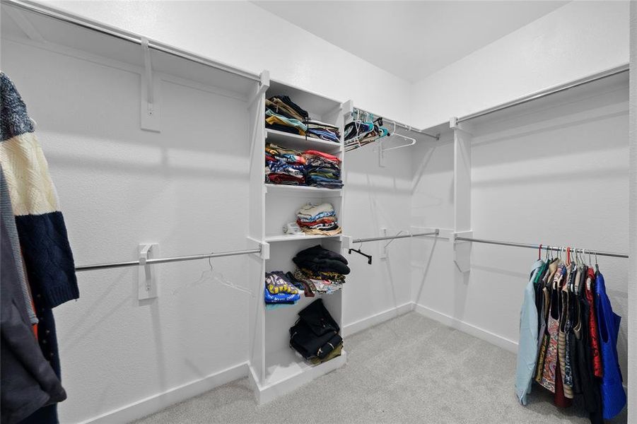 Spacious walk-in closet featuring light grey carpeting, white walls, and a built-in shelving unit