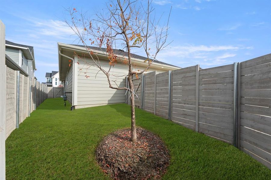 27. 3137 Eddington - Back (2)