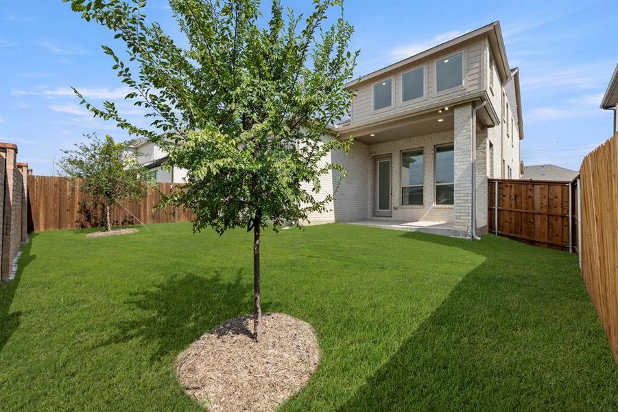 27. 817 Meadow Springs - Back (2)