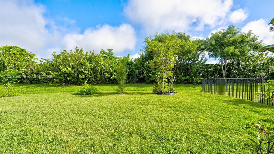 Natural landscape and outdoor views near  in Westlake (Image 50).