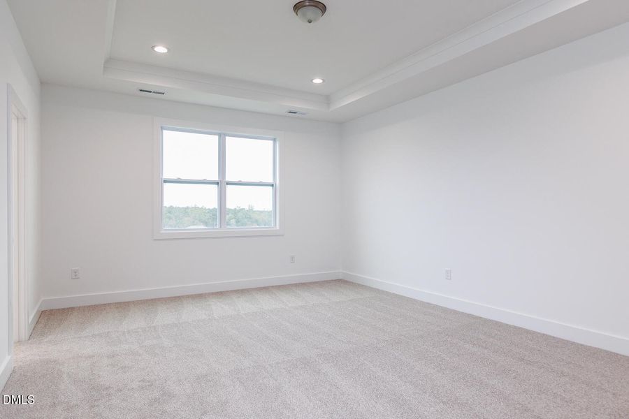 Tray Ceiling in Primary