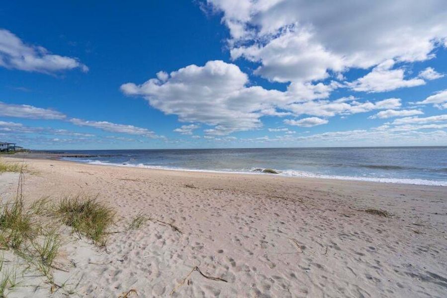 Natural landscape and outdoor views near  in Edisto Beach (Image 80).
