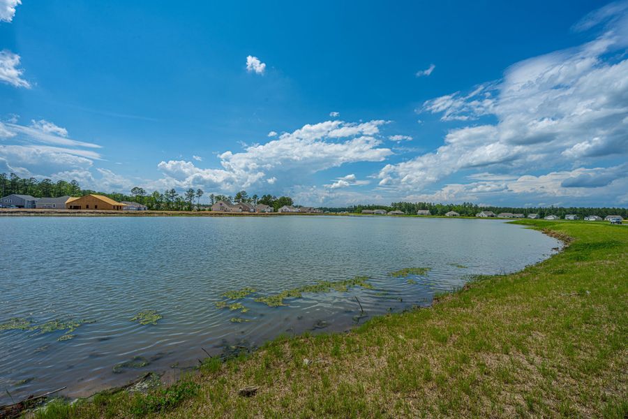 Natural landscape and outdoor views near French Quarter Creek in Huger (Image 59).
