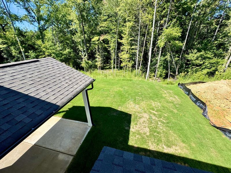 Exterior details and patio area of a home in Caldwell Forest, Charlotte (Image 3).