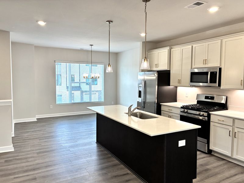 Furnished interior view inside a new home in Holly View, Greenville (Image 10).