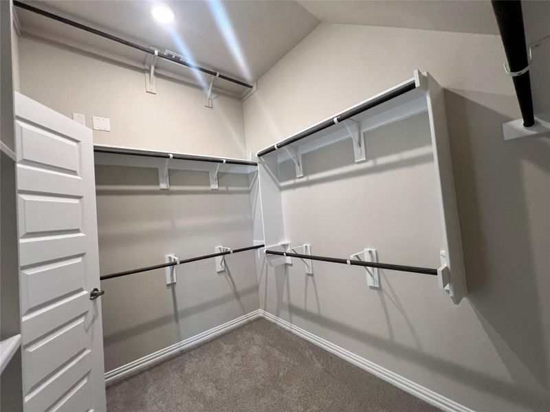 Spacious closet with carpet flooring