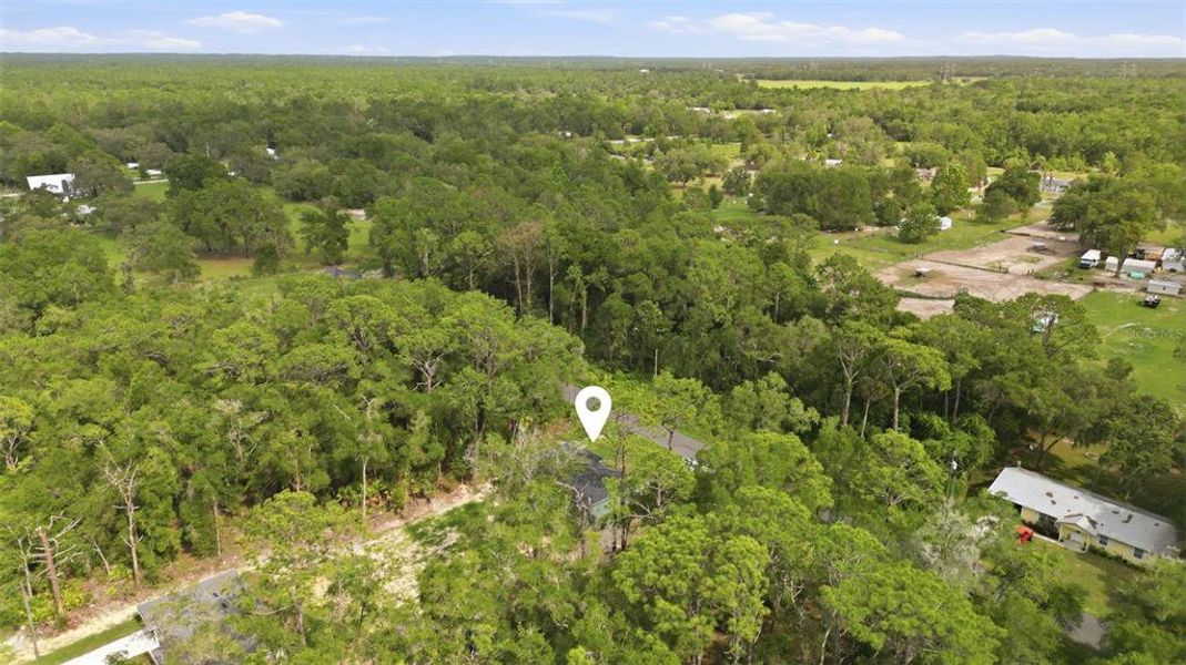 Natural landscape and outdoor views near  in Crystal River (Image 30).