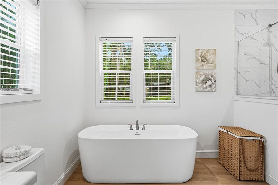Furnished interior view inside a new home in , Webster (Image 17).