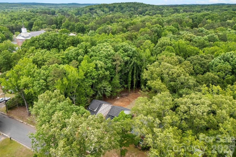 Natural landscape and outdoor views near  in Albemarle (Image 31).