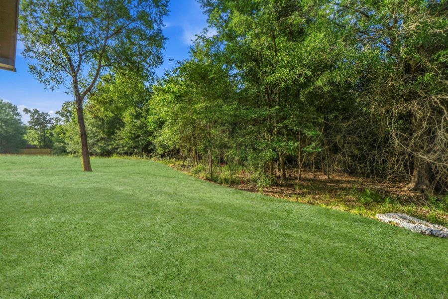 Backyard Backyard
