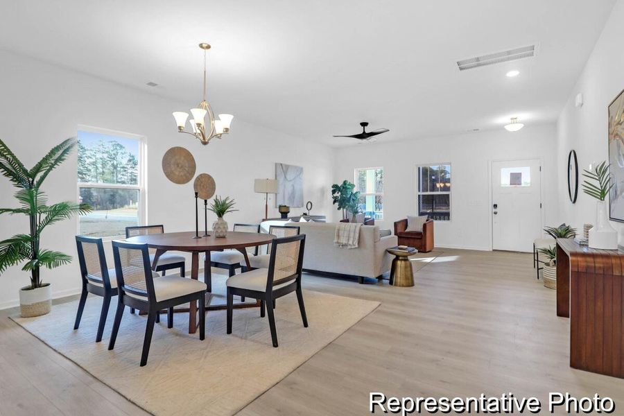 Furnished interior view inside a new home in , Ravenel (Image 15).