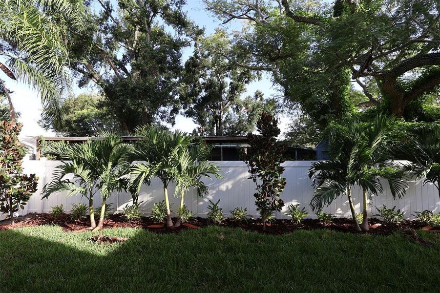 Natural landscape and outdoor views near South Tampa - Urban Collection in Tampa (Image 13). Natural landscape and outdoor views near South Tampa - Urban Collection in Tampa (Image 13).
