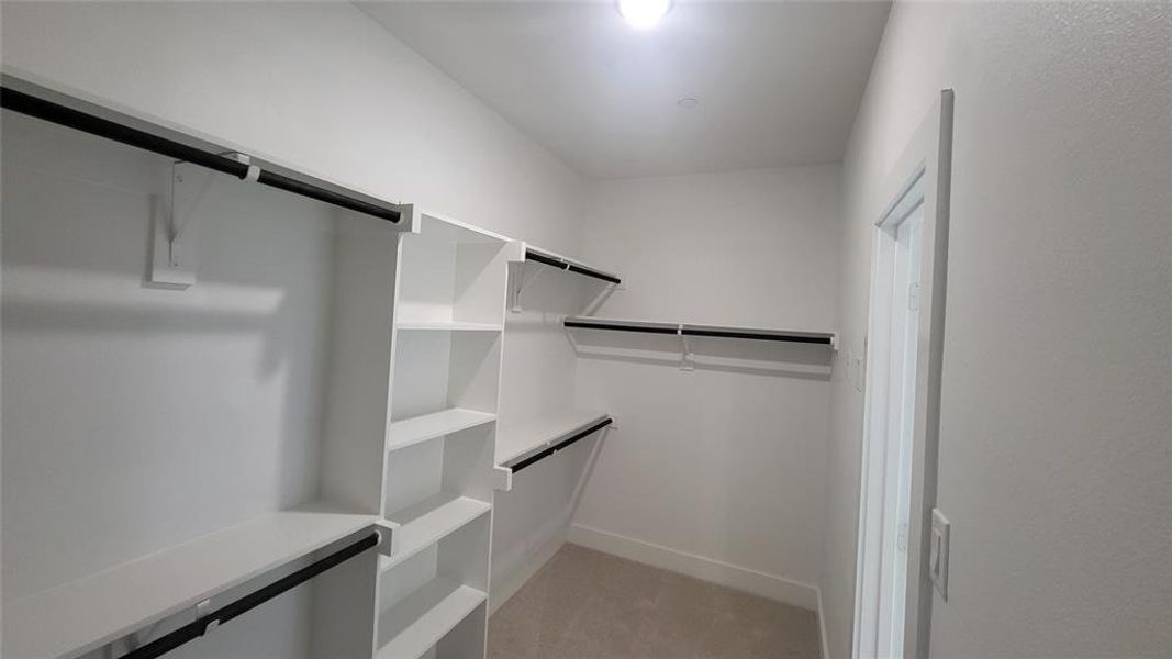 Spacious closet featuring light colored carpet