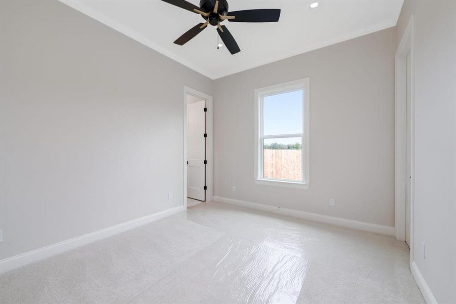 Empty room with light carpet, ceiling fan, and ornamental molding Empty room with light carpet, ceiling fan, and ornamental molding