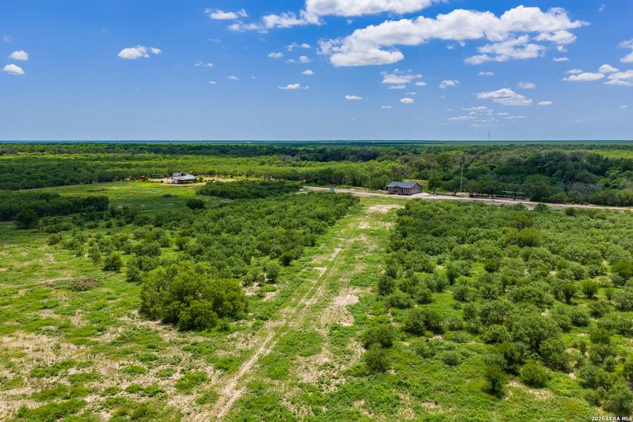 Natural landscape and outdoor views near  in Crystal City (Image 38).