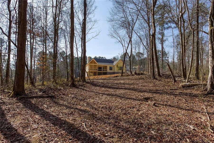 Natural landscape and outdoor views near  in Powder Springs (Image 40).