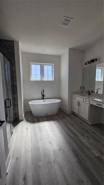 Spacious, unfurnished interior of a new home in , Port Charlotte (Image 9).