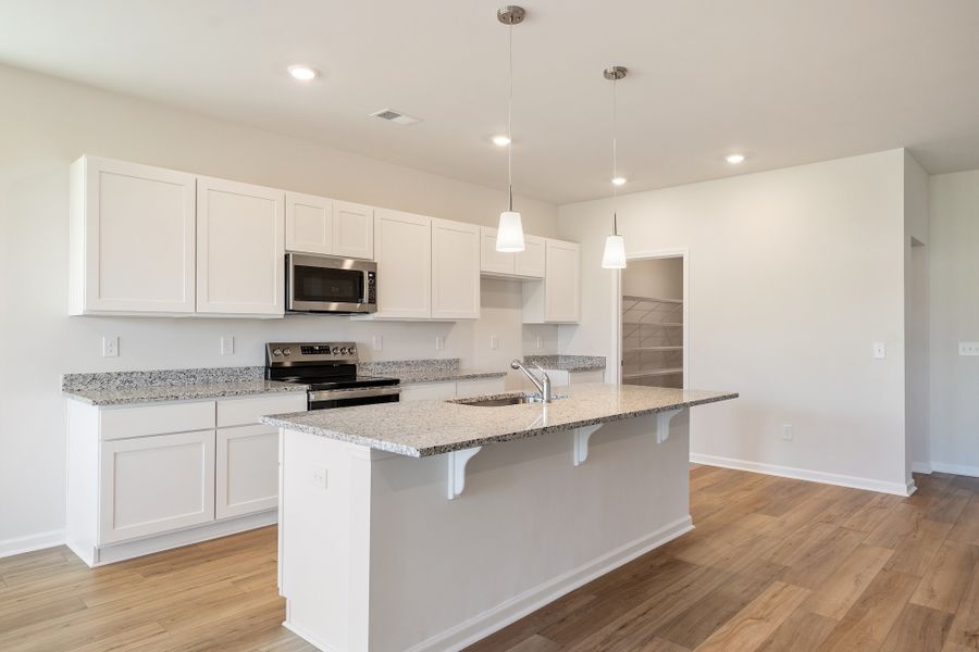 Furnished interior view inside a new home in Radley Place, Chesnee (Image 7).