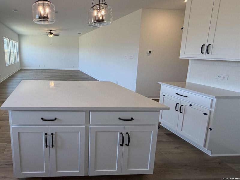 Furnished interior view inside a new home in The Wilder, Adkins (Image 7).