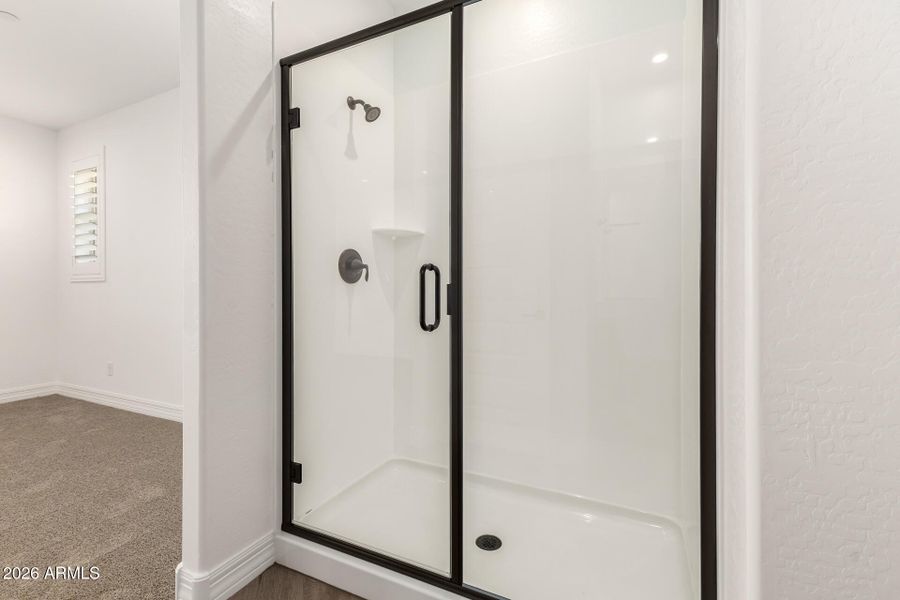 Master Bathroom Shower