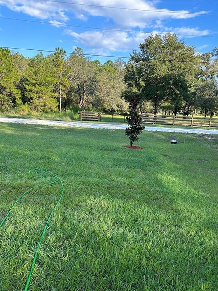 Image 26 of a home in Royal Highlands. Image 26 of a home in Royal Highlands.