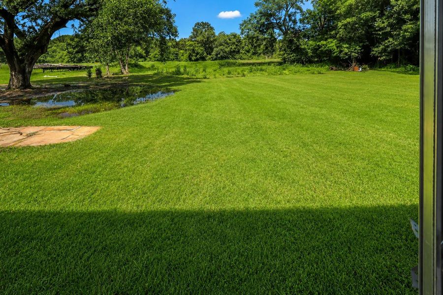 Natural landscape and outdoor views near  in Crosby (Image 11).