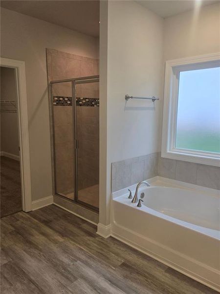 Image 27 of a home in Mirror Lake at South Harbour. Image 27 of a home in Mirror Lake at South Harbour.