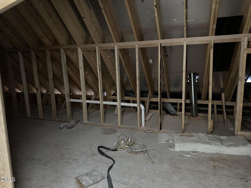 Walk in attic1 Walk in attic1