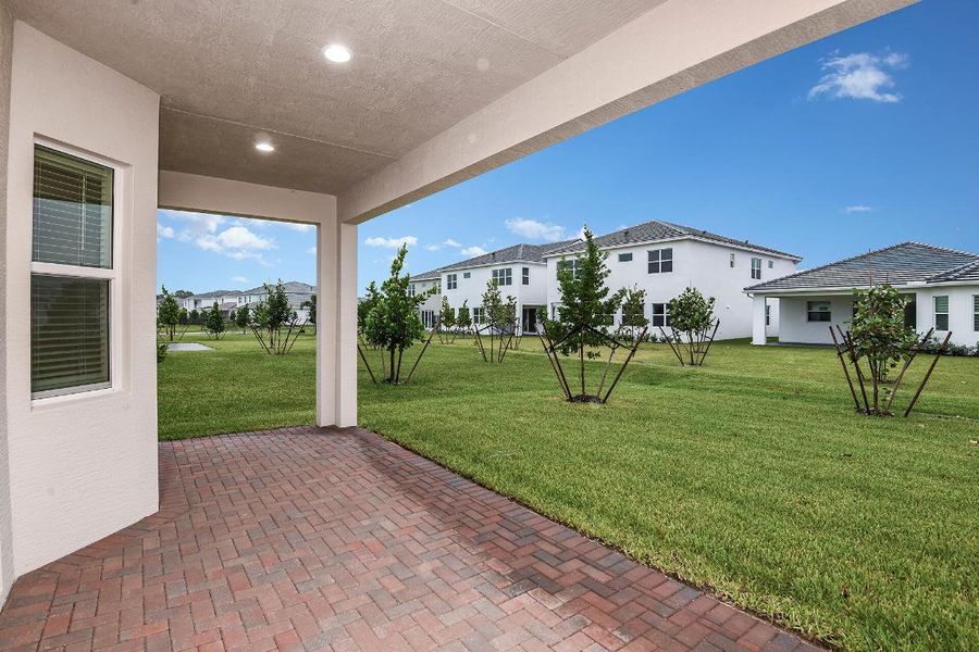 Lot-397-Marlberry-13861-Prickly-Cone-Cov Lot-397-Marlberry-13861-Prickly-Cone-Cov