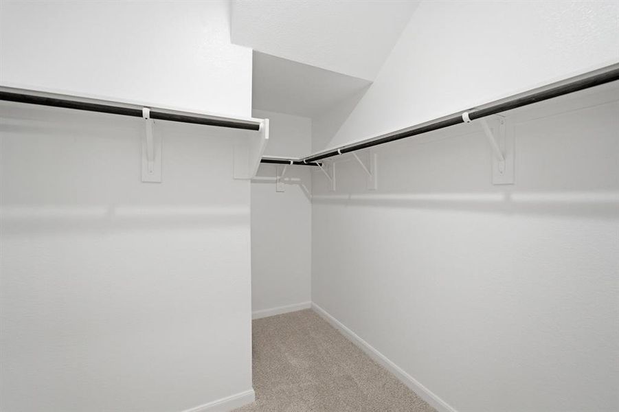 Walk-in closet featuring light-colored carpeting, white baseboards, and built-in black metal clothing rods with white shelving brackets