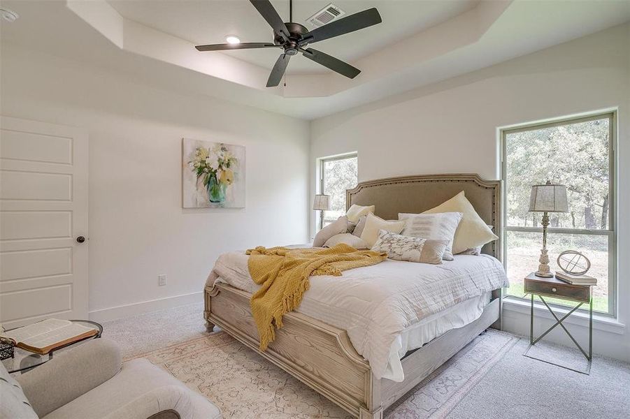 Carpeted bedroom with a tray ceiling and ceiling fan