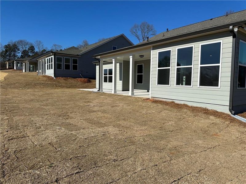 Exterior details and patio area of a home in Rosewood Lake Preserve, Hoschton (Image 19).