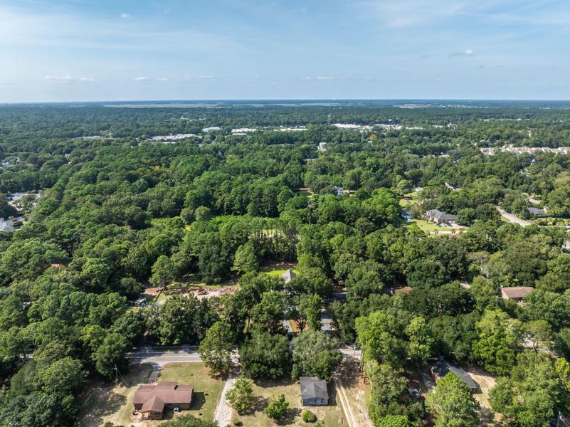 Natural landscape and outdoor views near  in Mount Pleasant (Image 113).