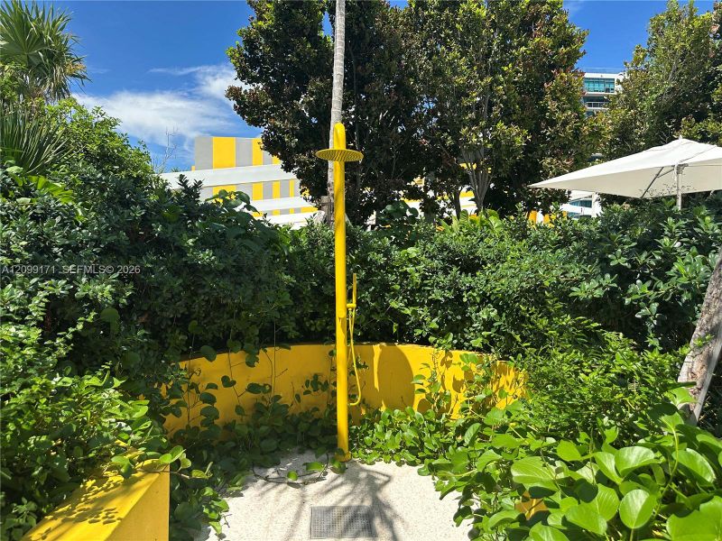 Natural landscape and outdoor views near  in Miami (Image 33).