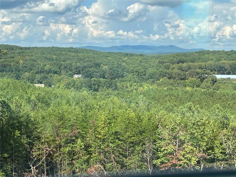 Natural landscape and outdoor views near Horizon at Laurel Canyon in Canton (Image 25).
